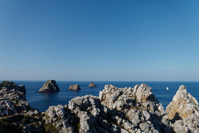 Les pois pointe de Pen-Hir