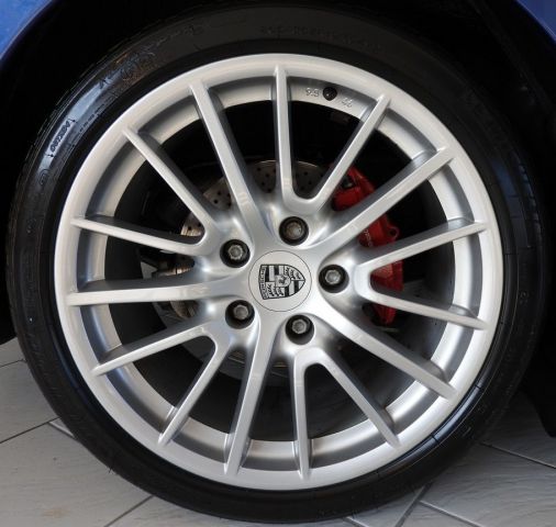 Cayman S (12)
