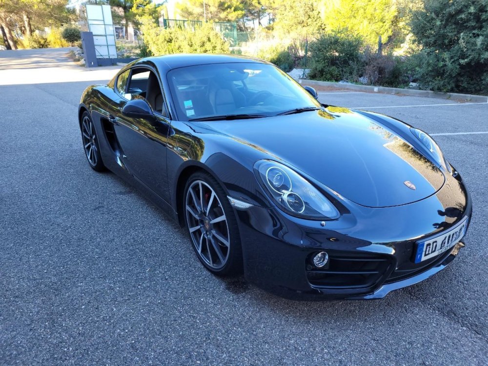 Cayman 2.jpg