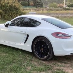 Auvergnat Cayman 981